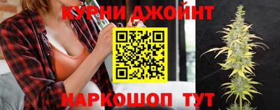 apvp Можга