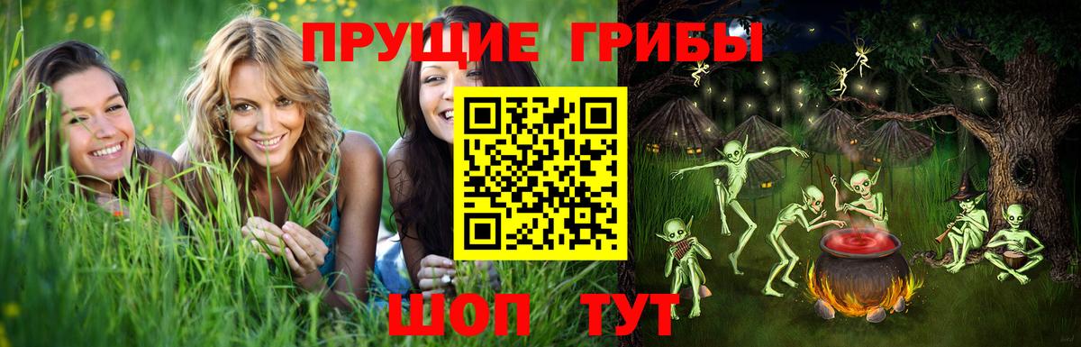 Улан-Удэ  Псилоцибиновые грибы Cubensis  Вход с VPN 