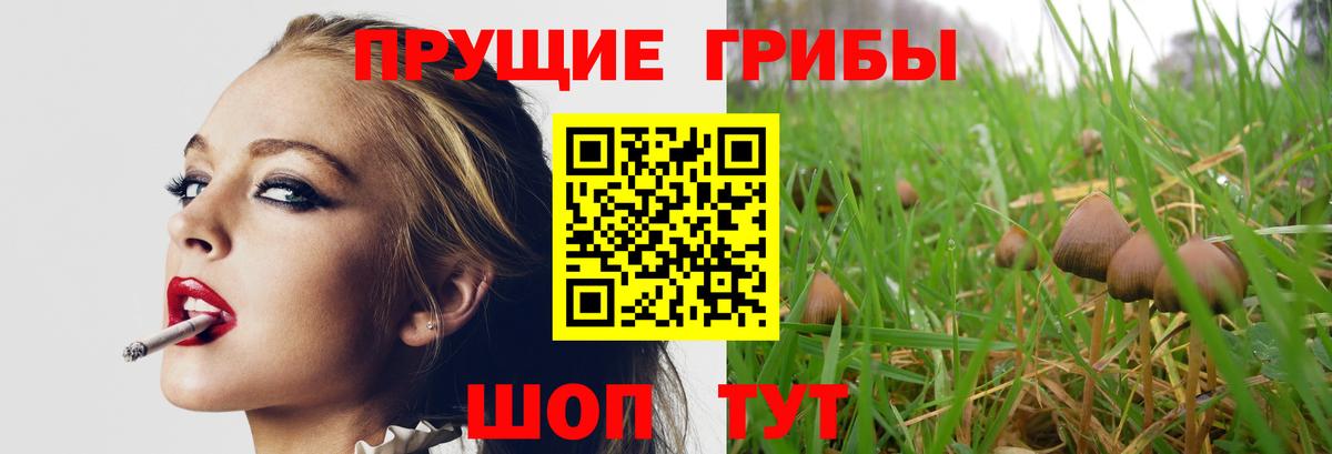 Галлюциногенные грибы Psilocybe Улан-Удэ