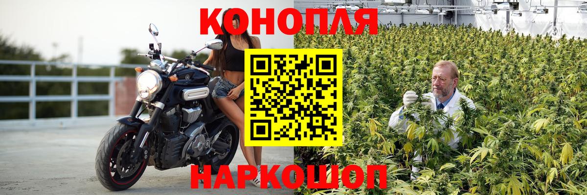 Каннабис семена  Канабис планчик  Вход с VPN  Марихуана THC 21%  Улан-Удэ 